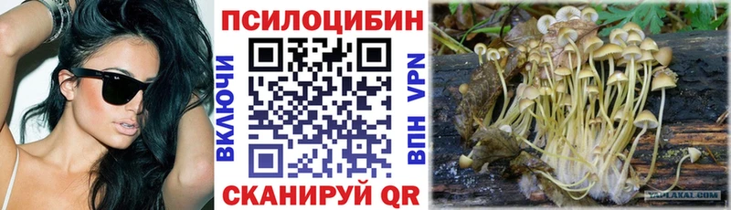 Купить закладки  Салаир  Галлюциногенные грибы MAGIC MUSHROOMS 